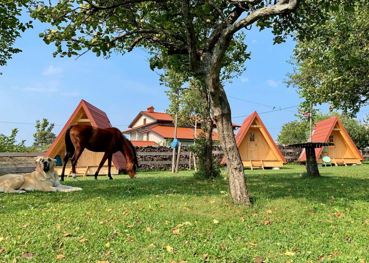 kamp DS Camping Banjščice