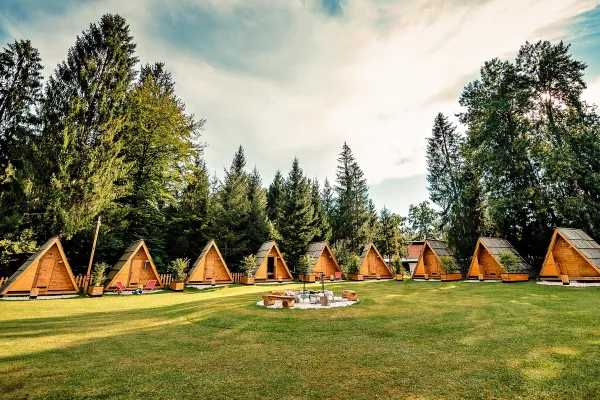Glamping Forest Edge