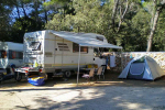 kamp camping Pineta Petrčane