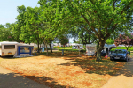 kamping parcele  - kamp Park Umag