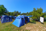 Kamp Savudrija - Pineta