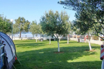 kamp Darinka Privlaka Zadar