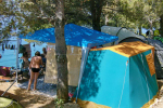 kamp Pinus Starigrad Paklenica