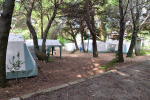 kamp camping Dalmacija Zaostrog