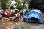 kamp camping Diana Banjole Istra