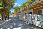 mobilne hišice - Kamp Belvedere - Trogir