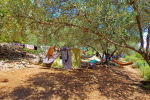 Kamp Brajdi - Beli, otok Cres