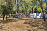 Kamp Kozarica - Pakoštane, Dalmacija