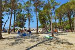 plaža - Kamp Zaton - Zadar
