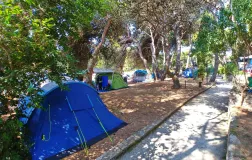 Kranjski kamp Premantura Istra