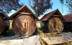 glamping vinski sodi - kamp Terme Ptuj