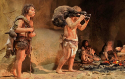 Muzej neandertalcev Krapina