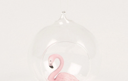 okrasek jelka flamingo 
