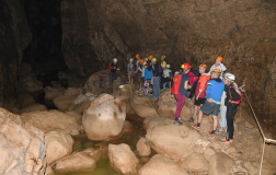 Pazinska jama - Osrednja Istra