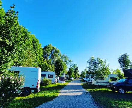kamp Bela krajina - Podzemelje, kampiranje ob reki Kolpina kamp