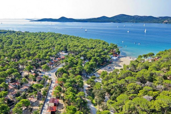 Are you looking for Dalmatian camp for your vacation?