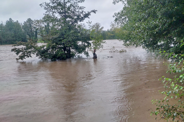Reka Kolpa prestopila bregove in poplavila tudi kampe