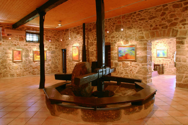Punat - muzej pridelave oljčnega olja