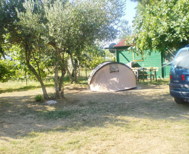 kamp camping Dido Bibinje Zadar